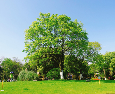 上海域倫實業有限公司產品的應用